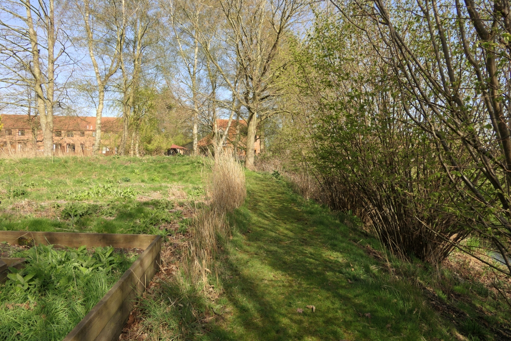 Beside The Reed Bed